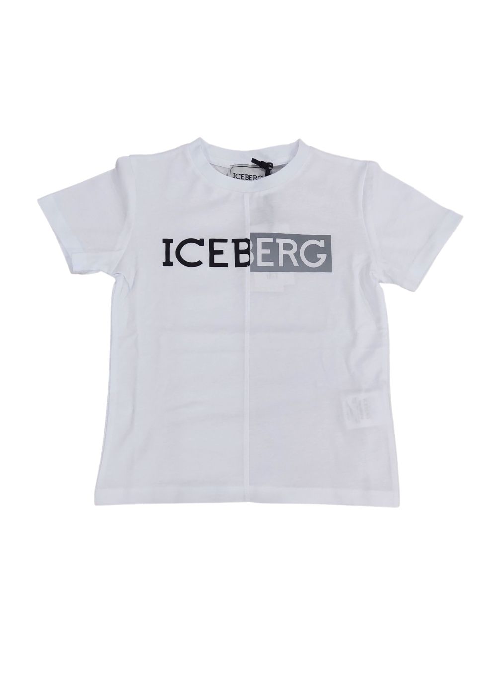 Featured image for “Iceberg T-shirt Logo”