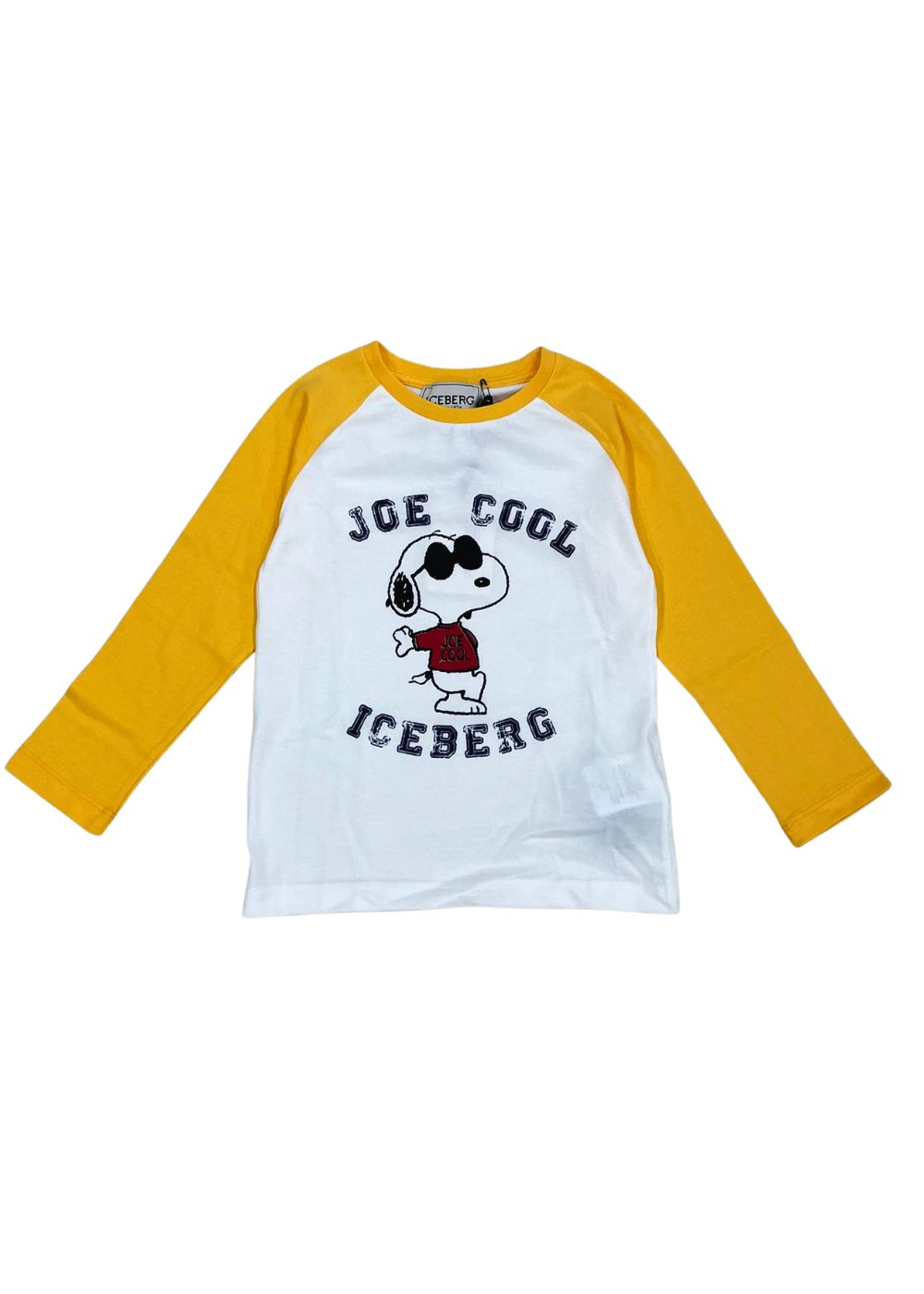 Featured image for “Iceberg T-shirt Con Stampa”