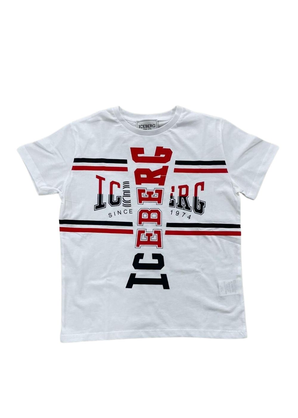 Featured image for “Iceberg T-shirt Con Stampa”