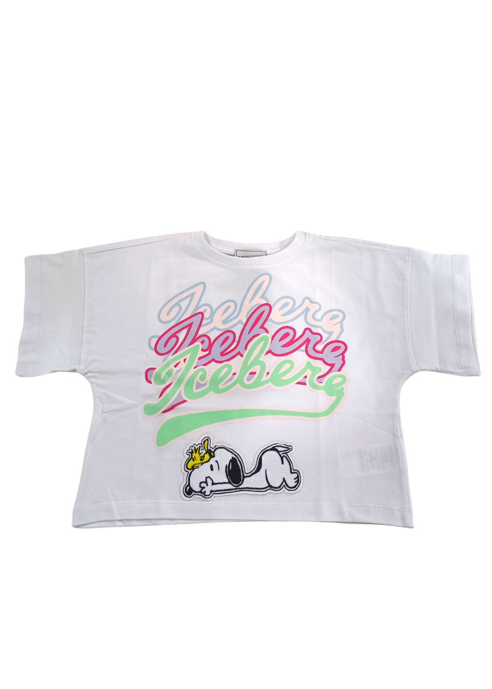 Featured image for “Iceberg T-shirt Snoopy”