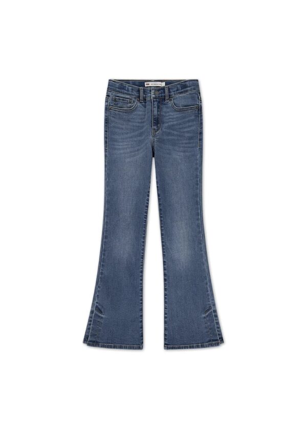 Levi's Jeans Flare